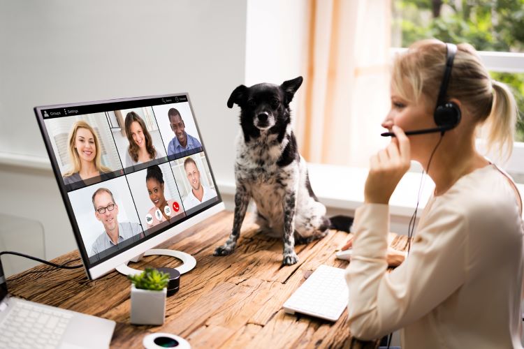Allow Pets During Virtual Meetings